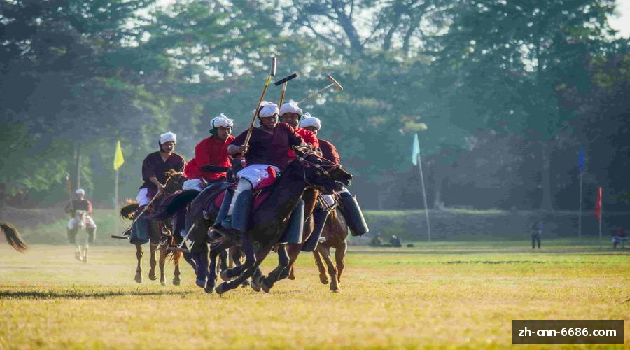 解析6686体育首页